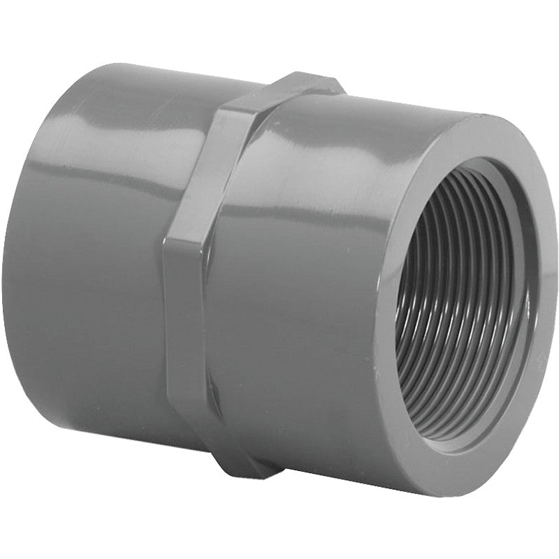 Lasco 830010BC Pipe Coupling, 1 in, FIP, PVC, SCH 80 Schedule