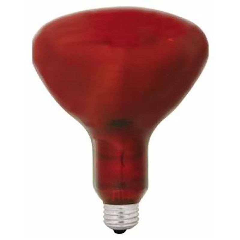 GE 37771 Heat Bulb, 250 W, R40 Lamp, E26 Medium Lamp Base, Red Light, 5000 hr Average Life (Pack of 6)