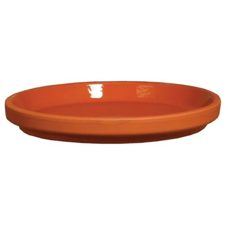 Border Concepts 801687 German Inner Glazed Saucer, 5 in Dia, Clay, Red (Pack of 16)