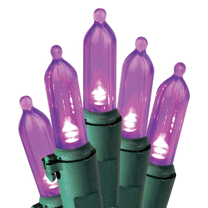 Hometown Holidays U10E406H Light Set, Christmas, 120 V, 4.8 W, 50-Lamp, LED Lamp, Purple Lamp, 13.58 ft L