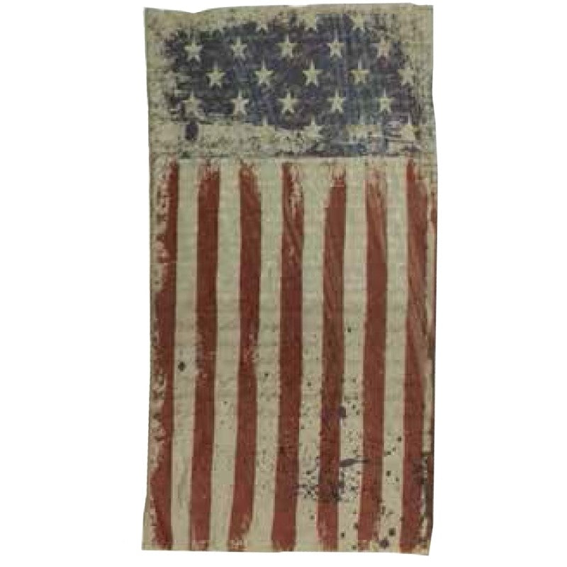 Quagga P21700-FLG Safety Scarf, One-Size Mask, Polyester Facepiece, Flag (Pack of 6)