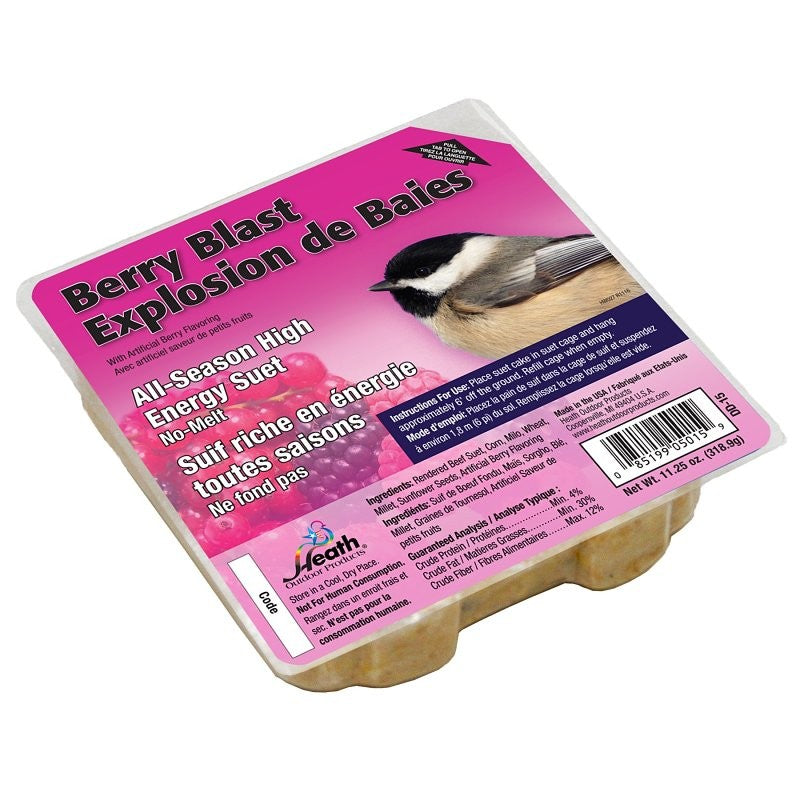 Heath DD-15 Suet Cake, All-Season, Berry, 11.25 oz (Pack of 12)