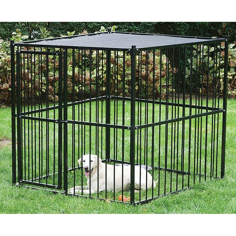 Stephens Pipe & Steel RSHBK11-13659 Dog Kennel with Sunblock Top, 5 ft OAL, 5 ft OAW, 5 ft OAH, Steel, Black