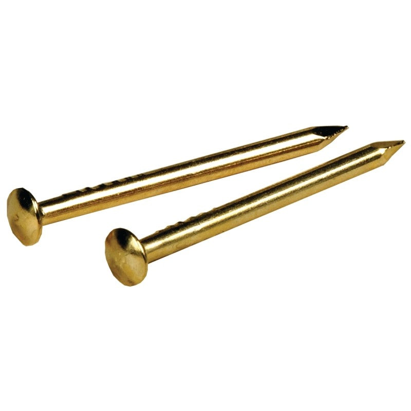 Hillman 122622 Escutcheon Pin, 3/4 in L, Steel, Brass (Pack of 6)