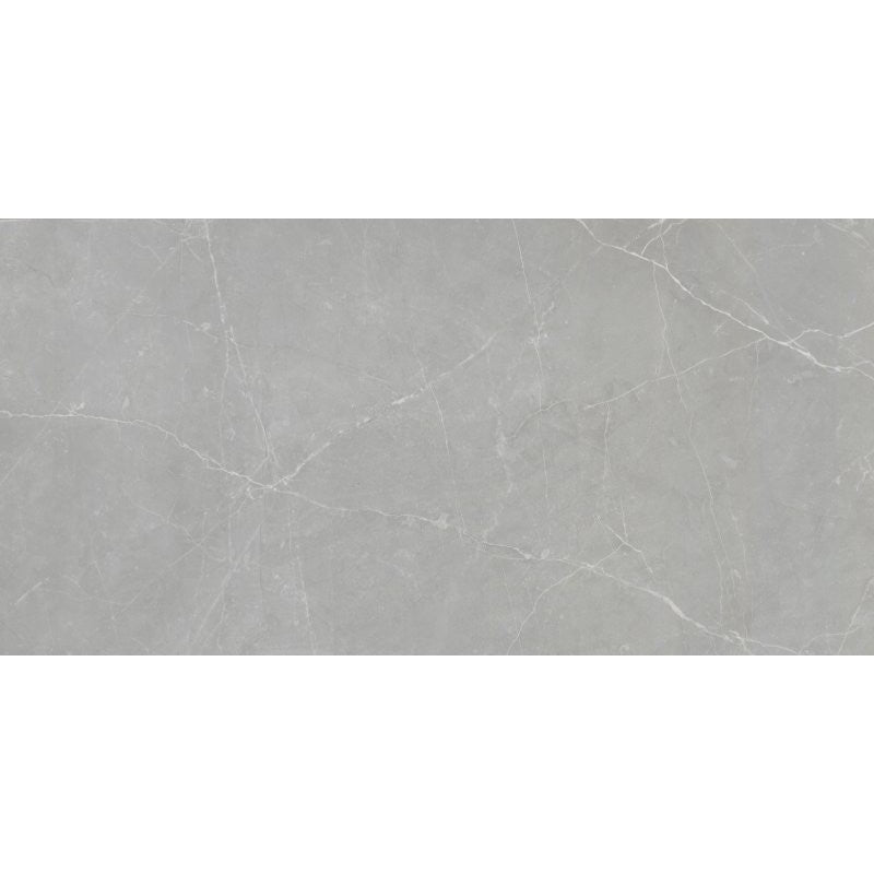 Emser Tile Sterlina II Series F20STERGR1224 Porcelain Tile, 24 in L Tile, 12 in W Tile, Rectified Edge, Gray