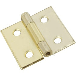 Surface Mount Cabinet Hinges 1-1/2 Inch Brass Finish Steel 2 Pack