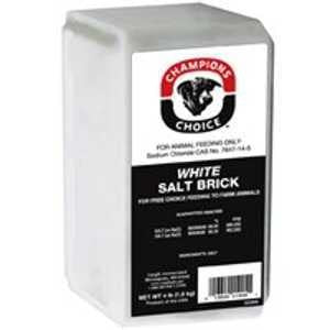 Roto Salt Champion's Choice 110005051 Salt Brick, 4 lb (Pack of 15)