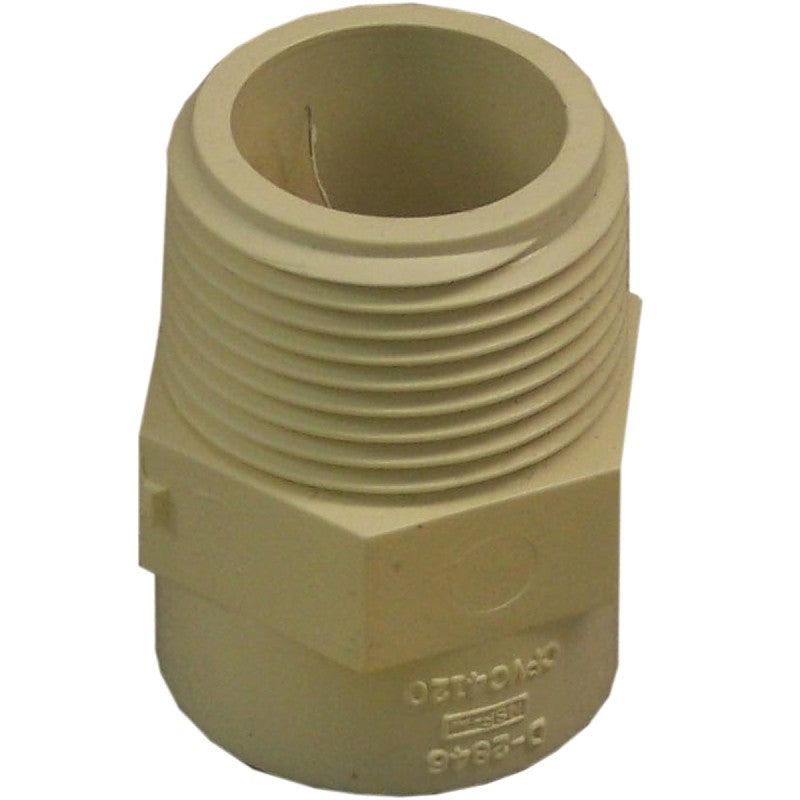 Nibco T00075C Pipe Adapter, 1 in, Slip x MIP, CPVC