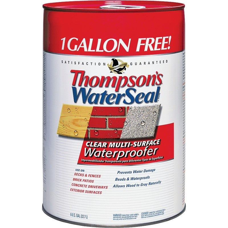 Thompson's WaterSeal TH.024106-06 Waterproofer, Clear, 6 gal, Can