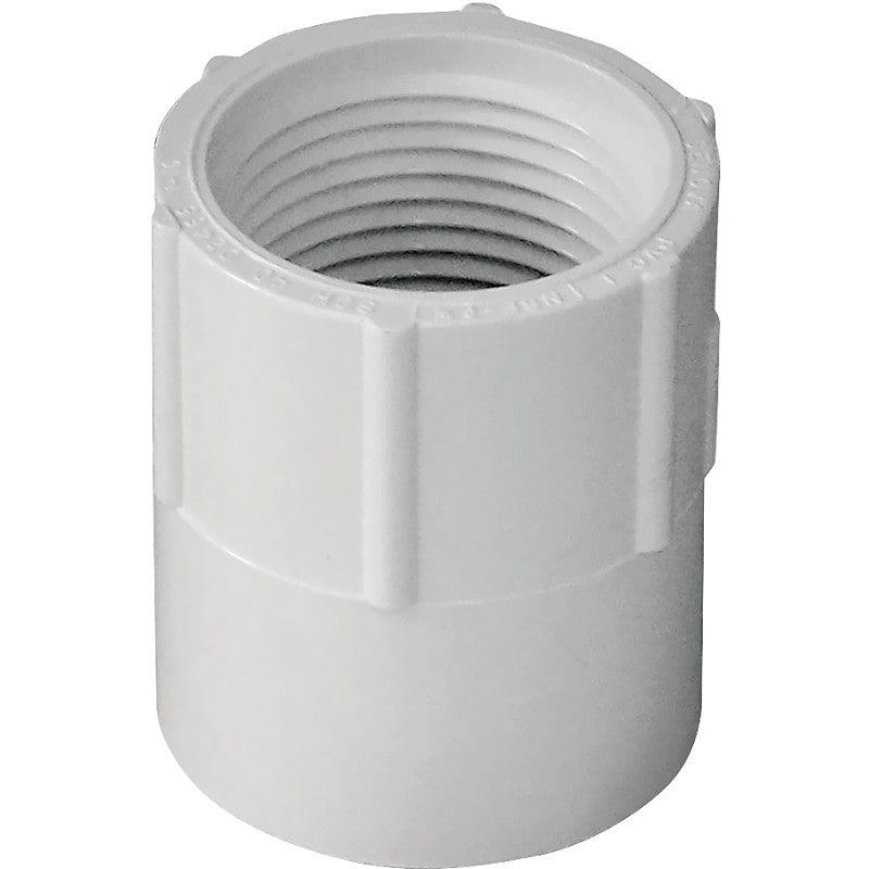 IPEX 435560 Pipe Adapter, 3/4 in, Socket x FPT, PVC, SCH 40 Schedule