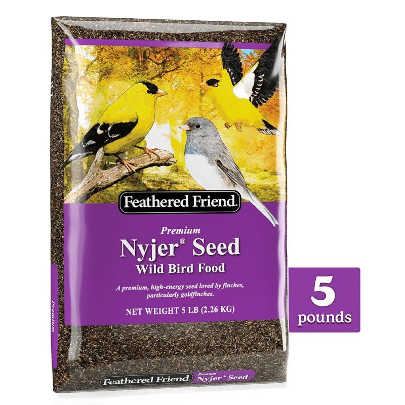 Feathered Friend 14401 Nyjer Seed, 5 lb Bag
