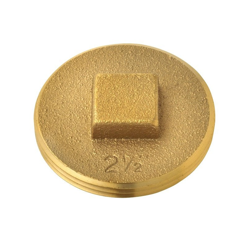 Oatey 42371 Cleanout Pipe Plug, 2-1/2 in, Raised Head, Brass