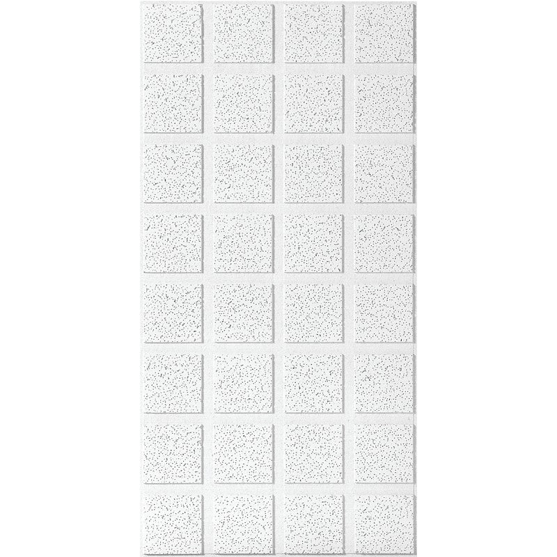 USG R2862 Ceiling Panel, 4 ft L, 2 ft W, 3/4 in Thick, Mineral Fiber, White/Beige/Gray