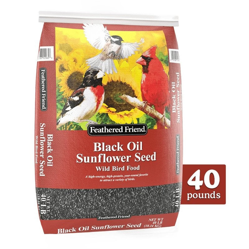 Feathered Friend 14422 Black Oil Sunflower Seed, 40 lb Bag
