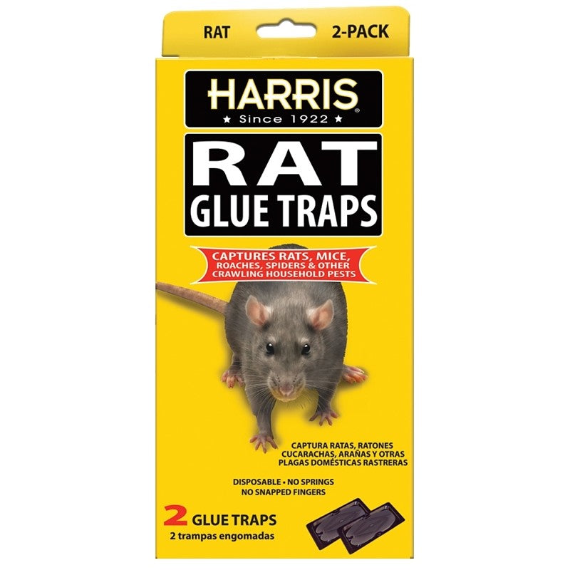 Harris HRG-2 Rat Glue Trap, Pre-Baited