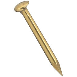 Escutcheon Pins Solid Brass 16 Gauge By 5/8 Inch (POS)
