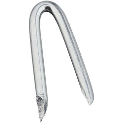 Galvanized Wire Staples 3/4 Inch