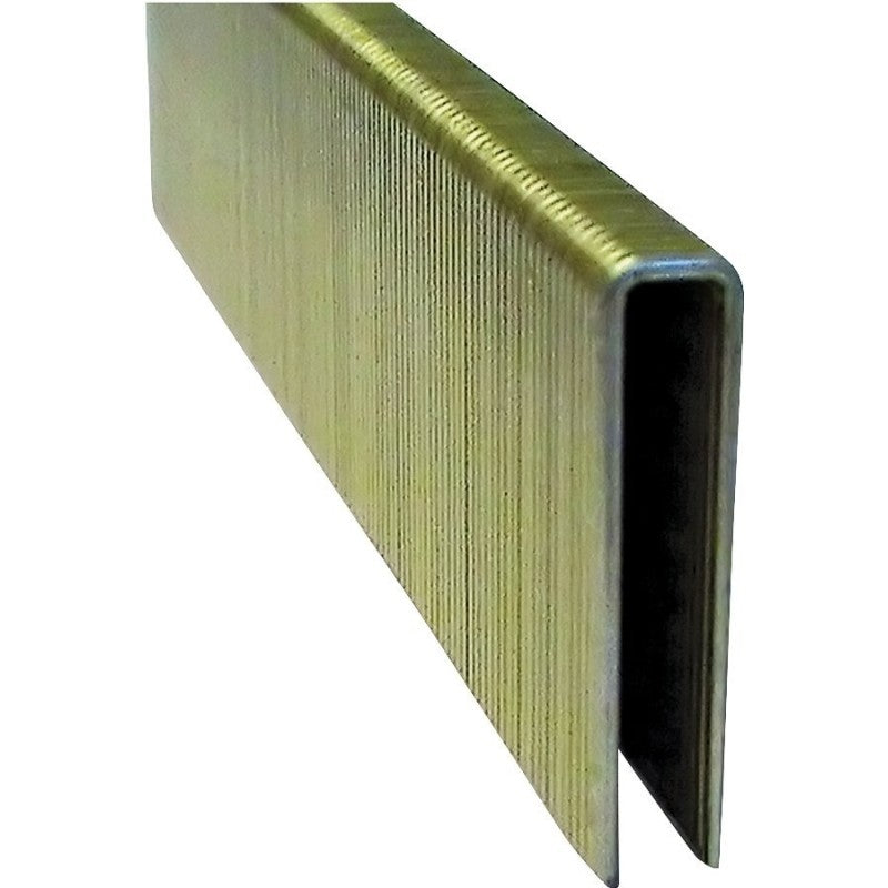 ProFIT 718231 Crown Staple, 1/4 in W Crown, 1 in L Leg, 18 ga, Electro-Galvanized, 1000/PK