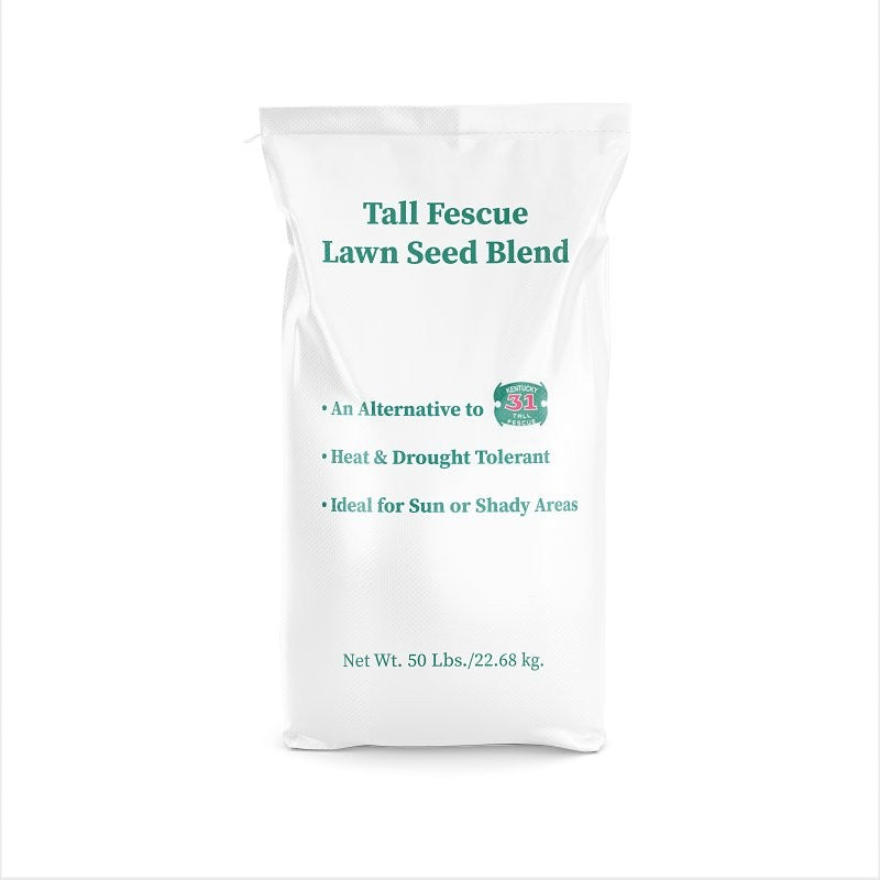 Barenbrug 14074 Grass Seed, 50 lb Bag, 10,000 sq-ft Coverage Area, Tall Fescue