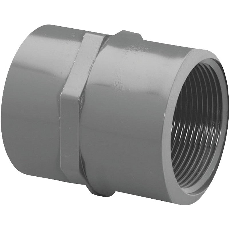 Thrifco Plumbing 8213052 Pipe Adapter, 1 in, Slip Joint x Female Threaded, PVC, SCH 80 Schedule