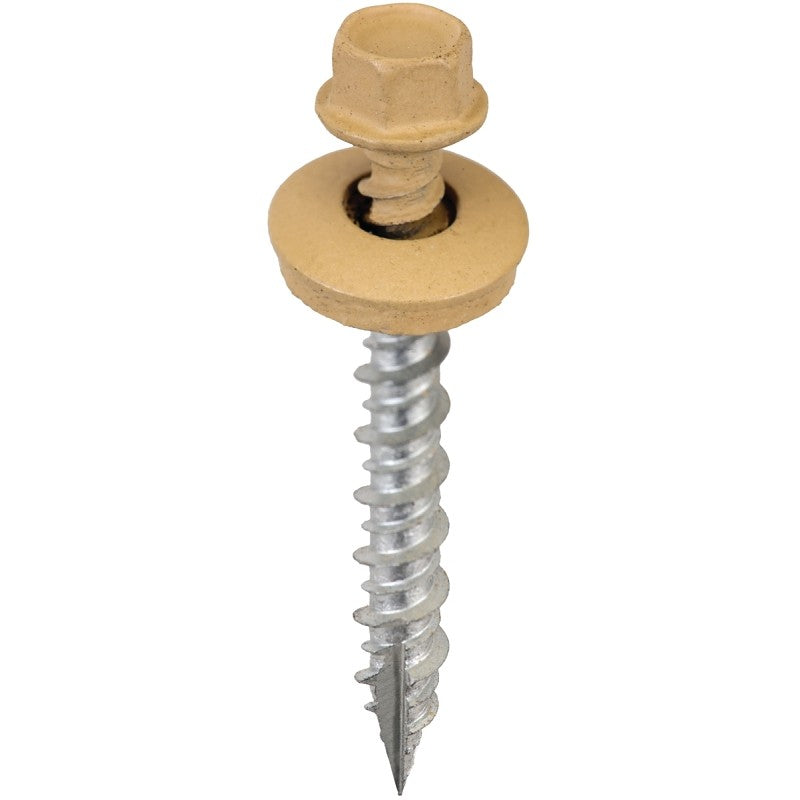 Acorn International SW-MW15MT250 Screw, #9 Thread, Mocha Tan, Hex Drive, Self-Tapping, Type 17 Point, 250/BAG