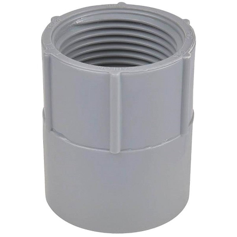 Carlon E942L-CAR Conduit Adapter, 3 in FPT x Socket, 3-31/32 in Dia, 3-1/16 in L, PVC, Gray