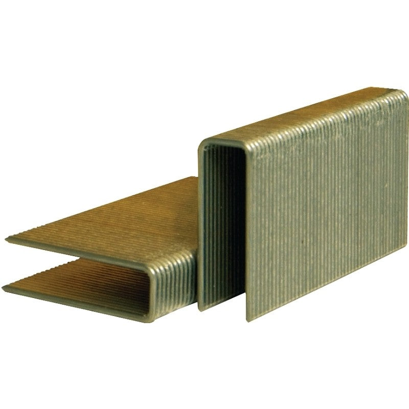 Bostitch BCS1512 Flooring Staple, 1/2 in W Crown, 1-1/2 in L Leg, 15-1/2 Gauge, Steel